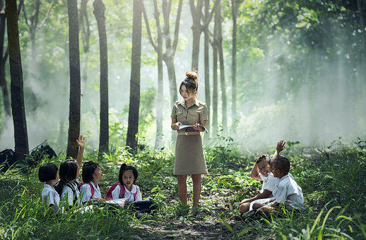 Children studying in a jungle
